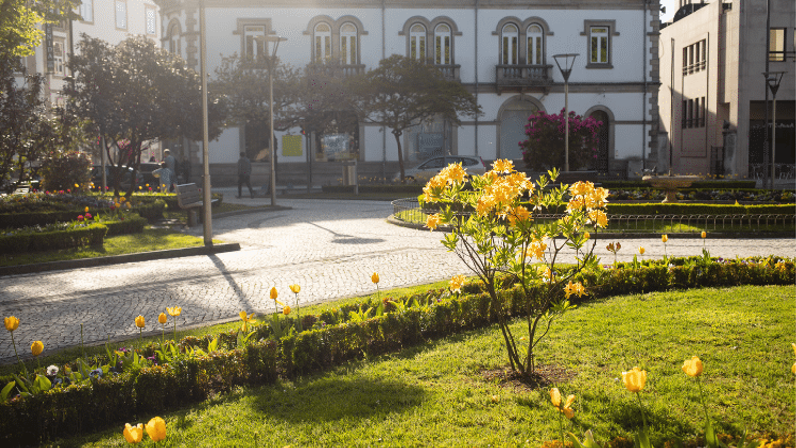 living-in-viseu