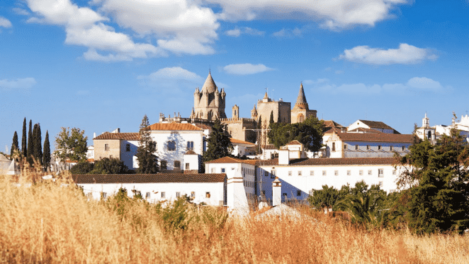 Living in Alentejo