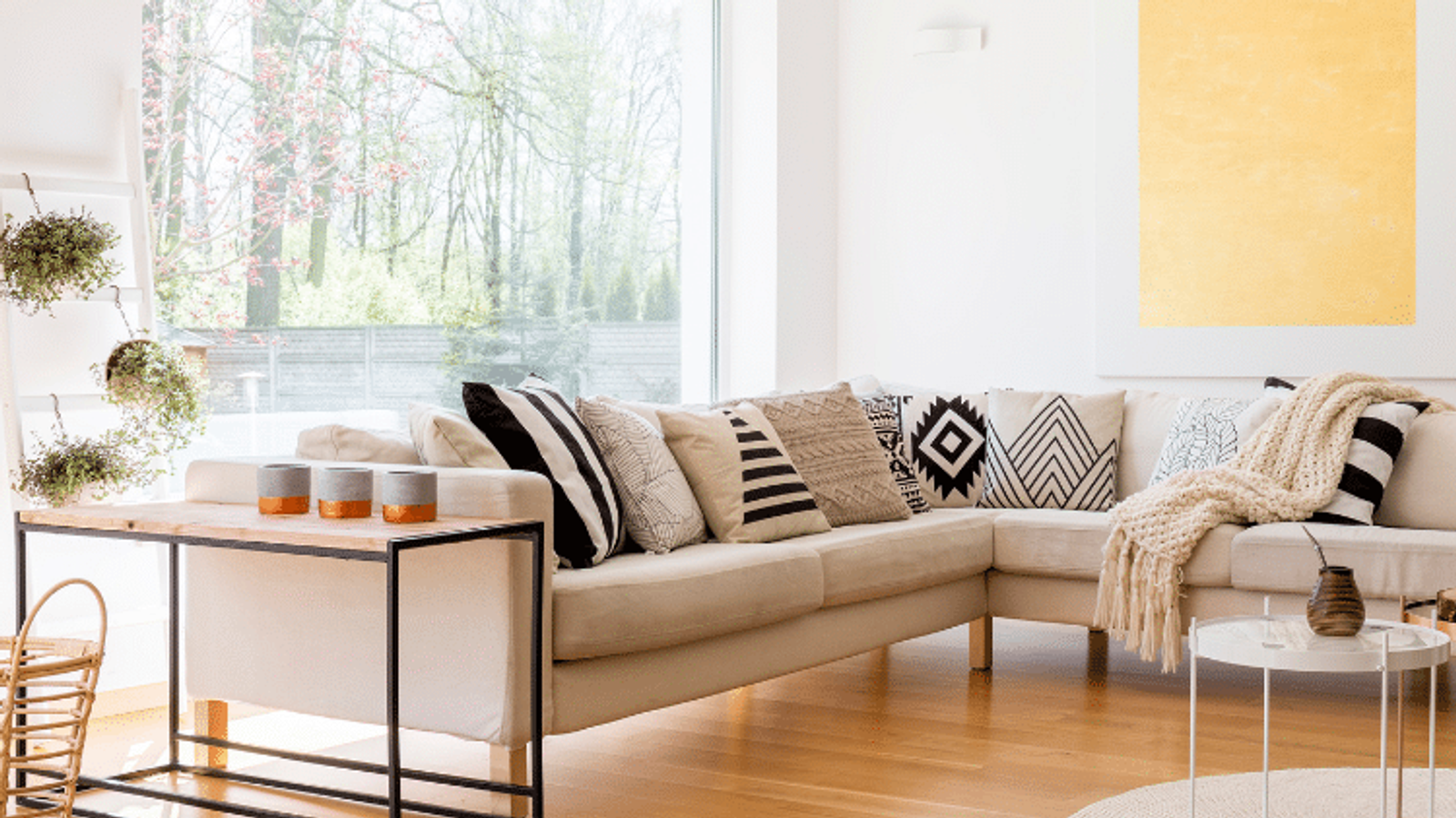 finding-a-rental-in-aveiro