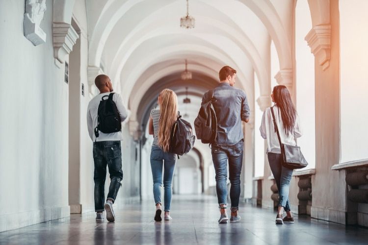 Portuguese Universities that teach in English