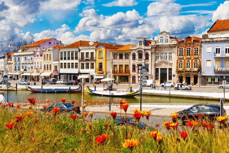 aveiro-is-like-the-netherlands-for-expats
