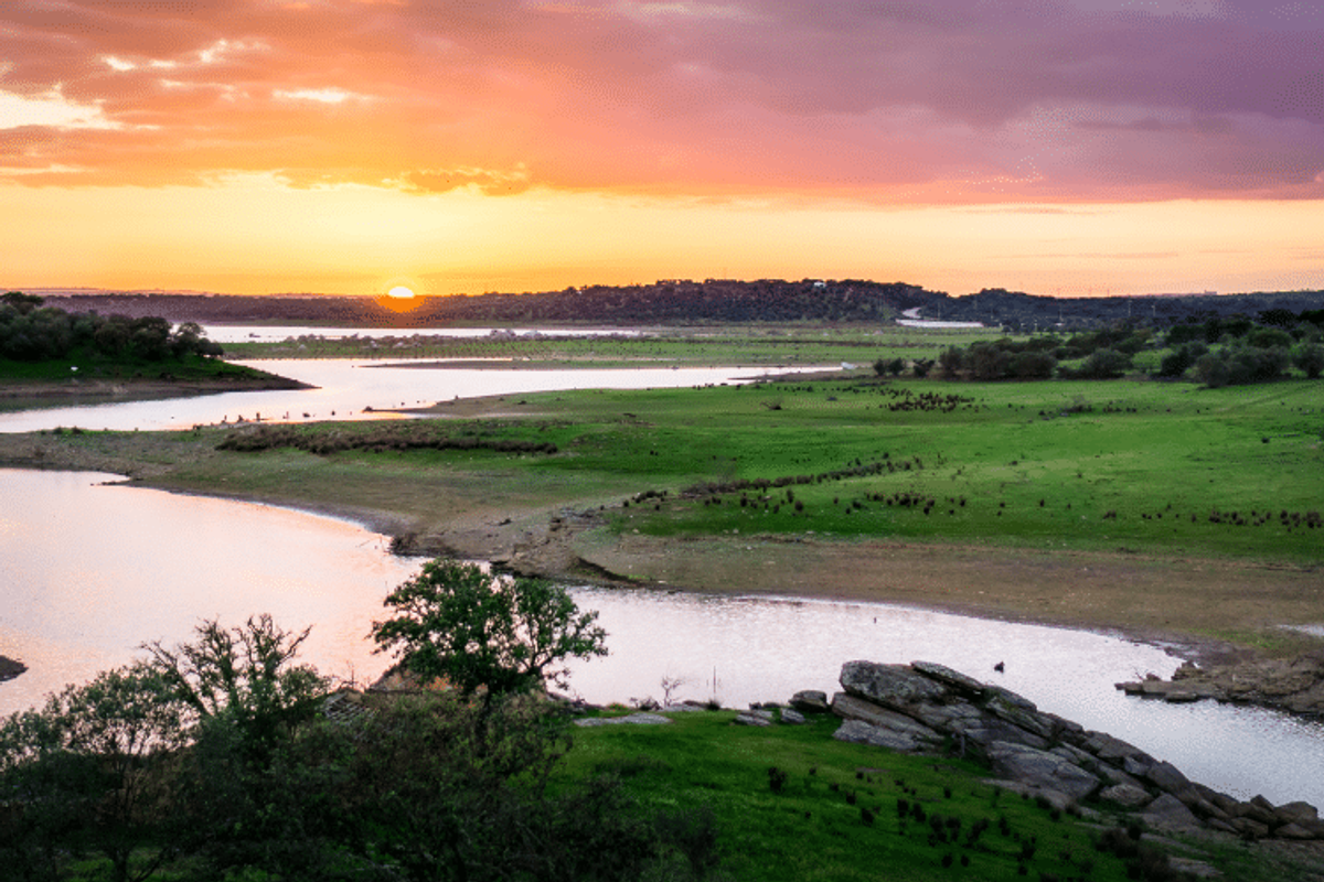 Viver no Alentejo é tendência