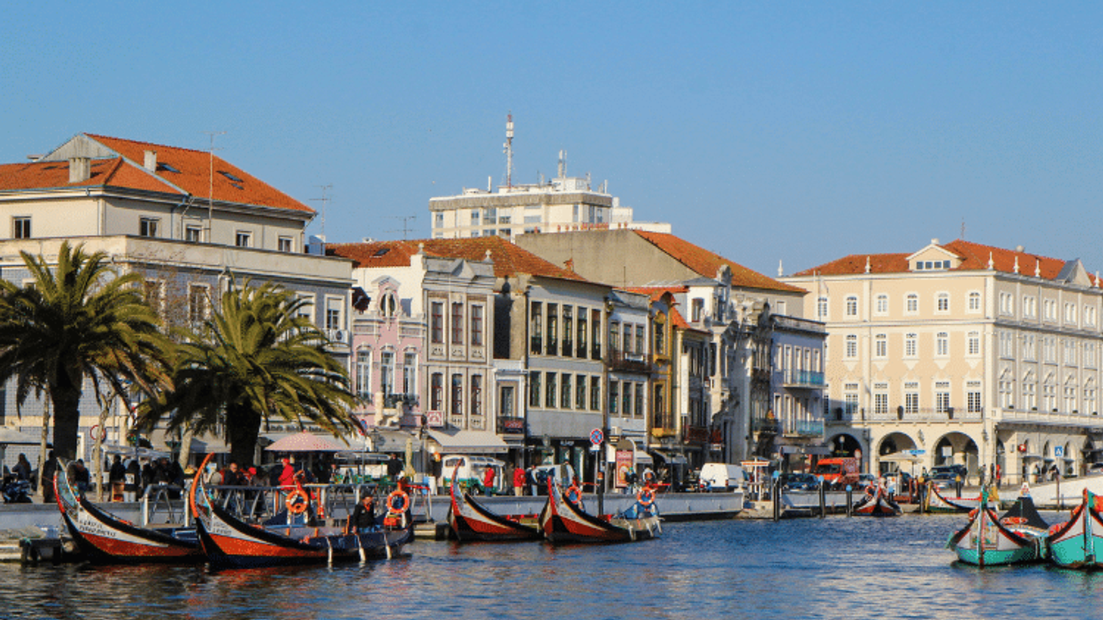 living-in-aveiro