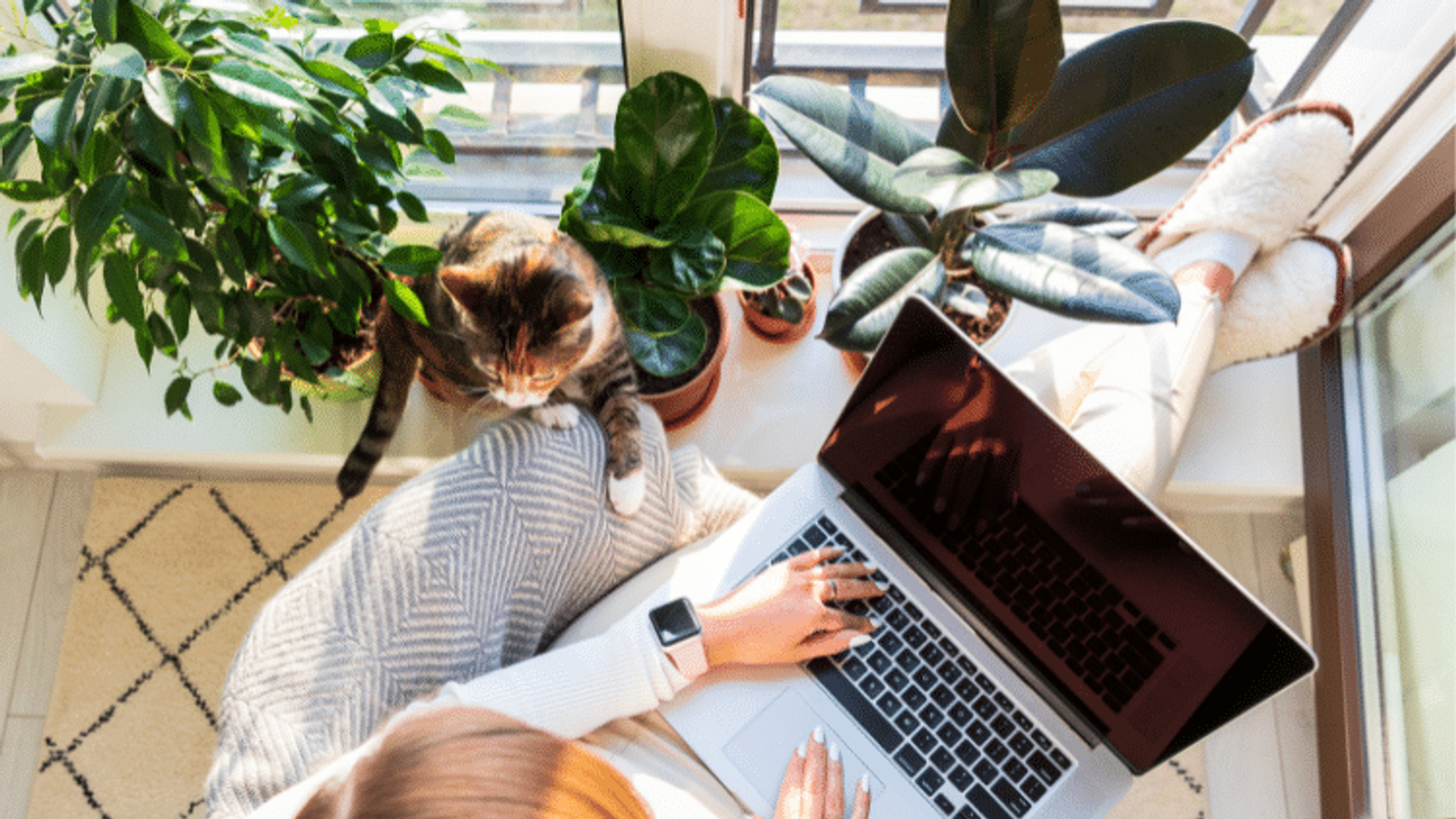 become-a-freelancer-in-portugal