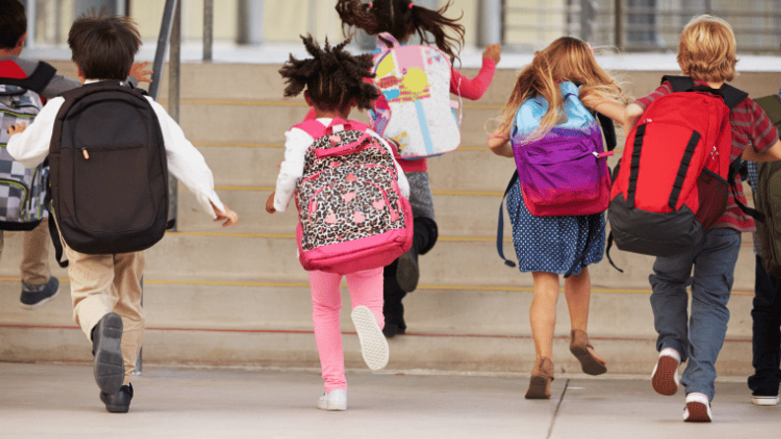 international-schools-in-the-algarve