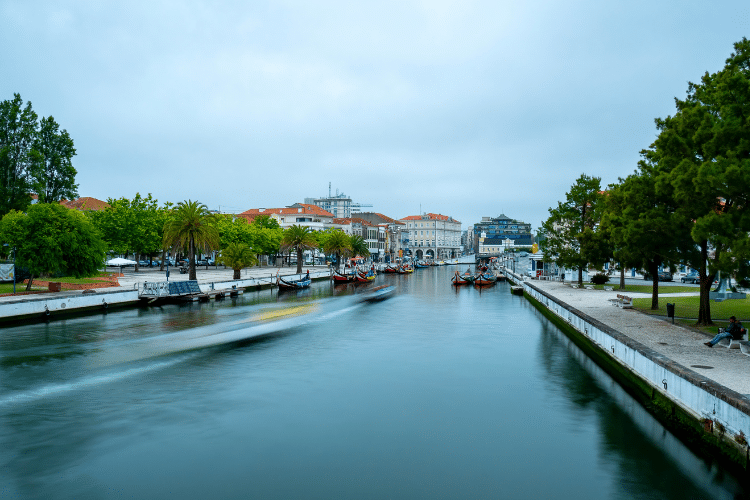 Como encontrar um imóvel para alugar em Aveiro