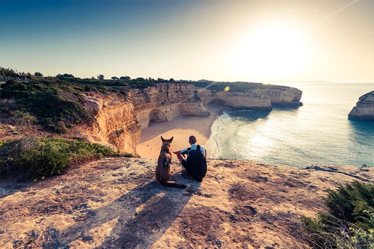 Relocate your dog to Portugal