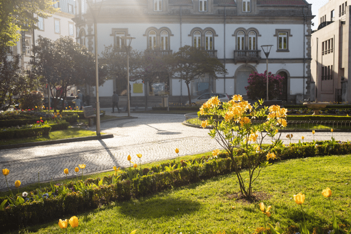Acesso aos cuidados de saúde em Viseu