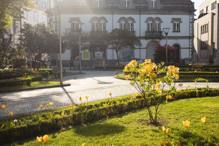 Acesso aos cuidados de saúde em Viseu