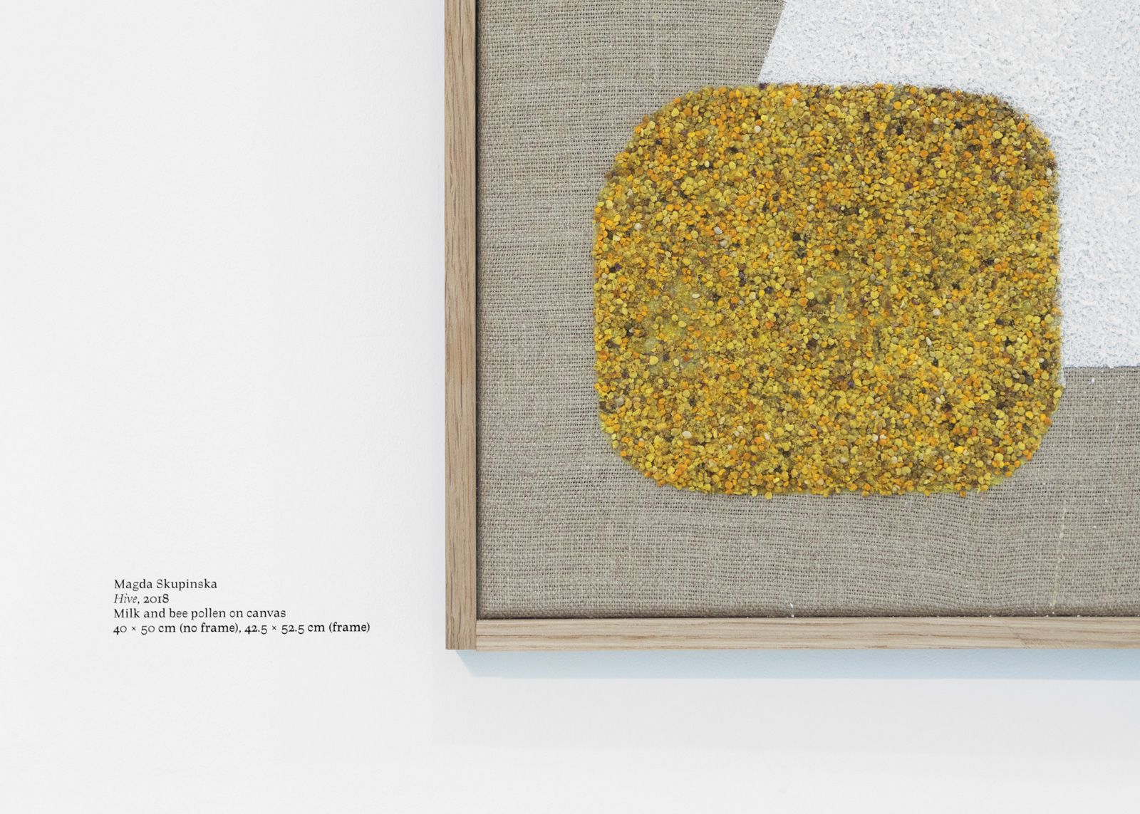 Adventitious Encounters