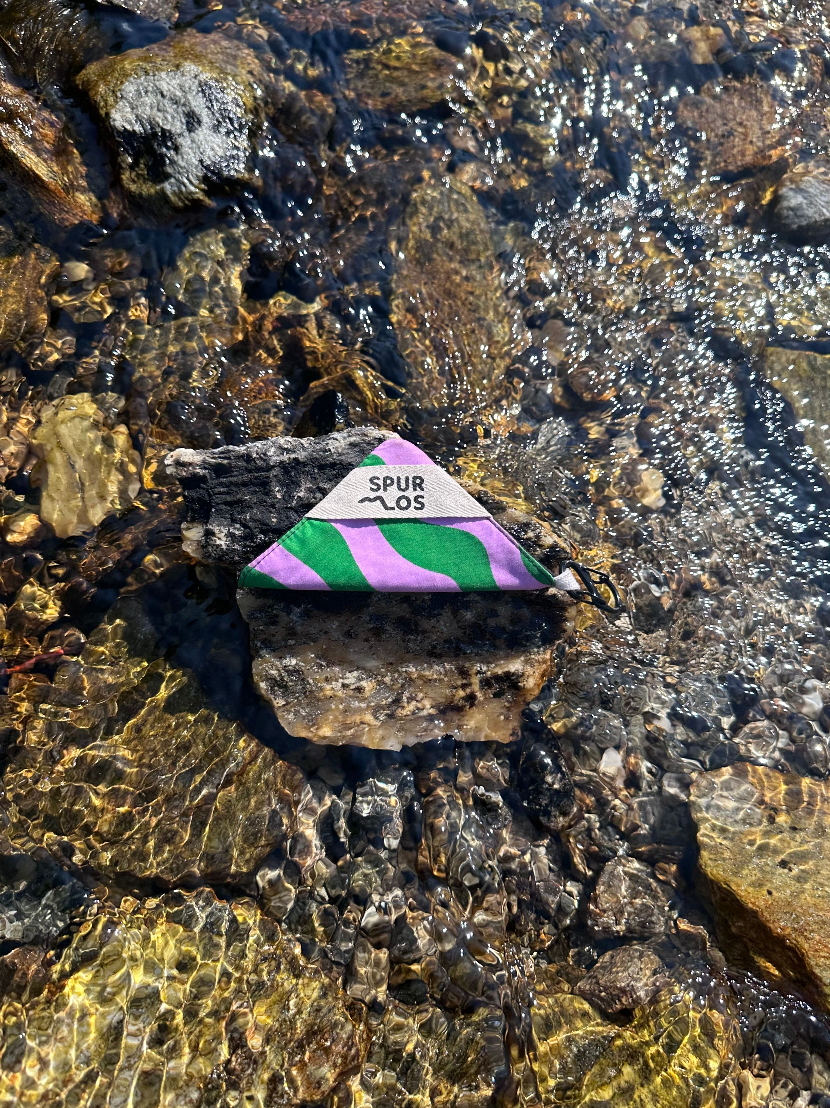 Mini auf einem kleinen Stein im Wasser