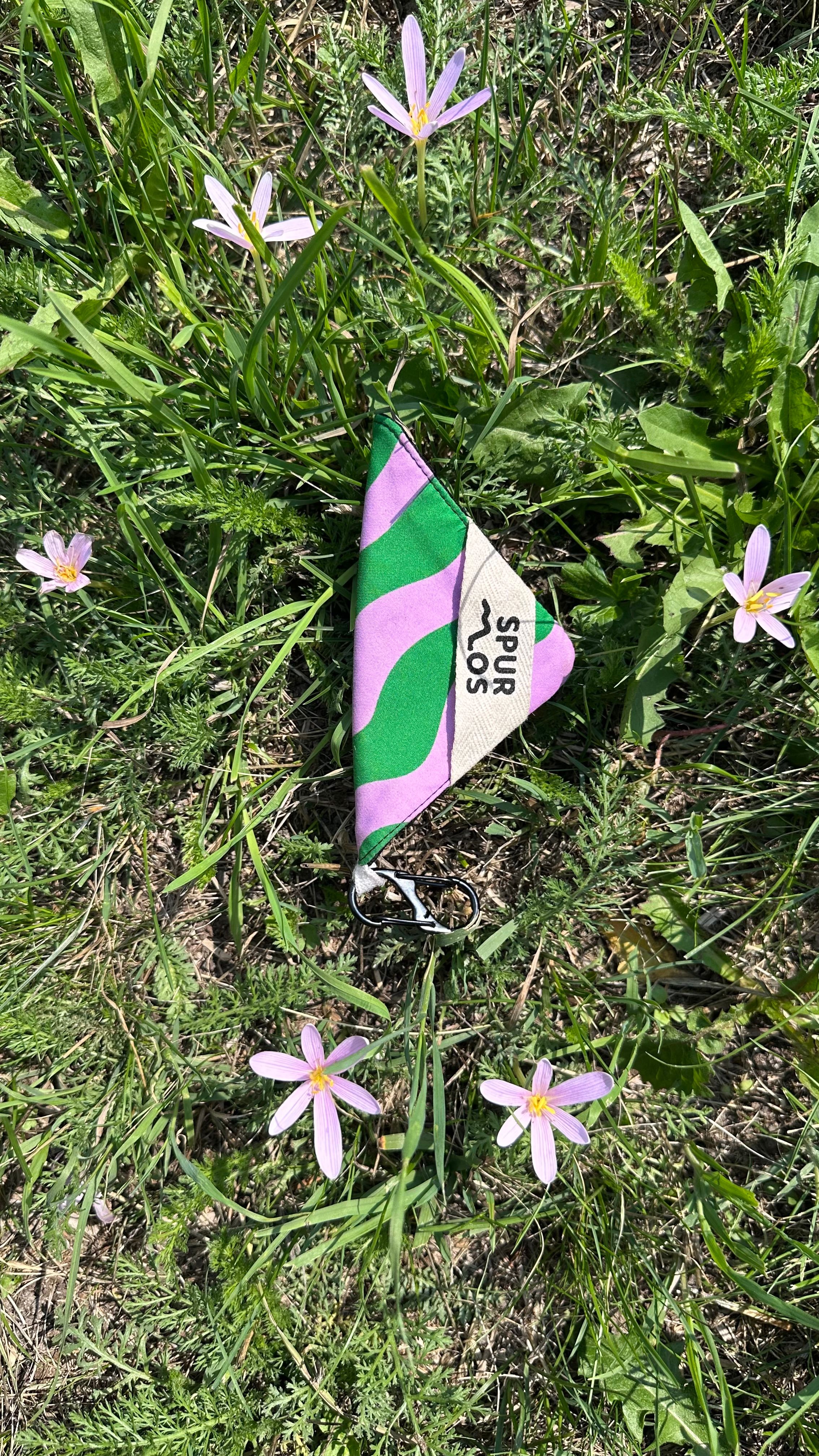 Mini mit Blumen