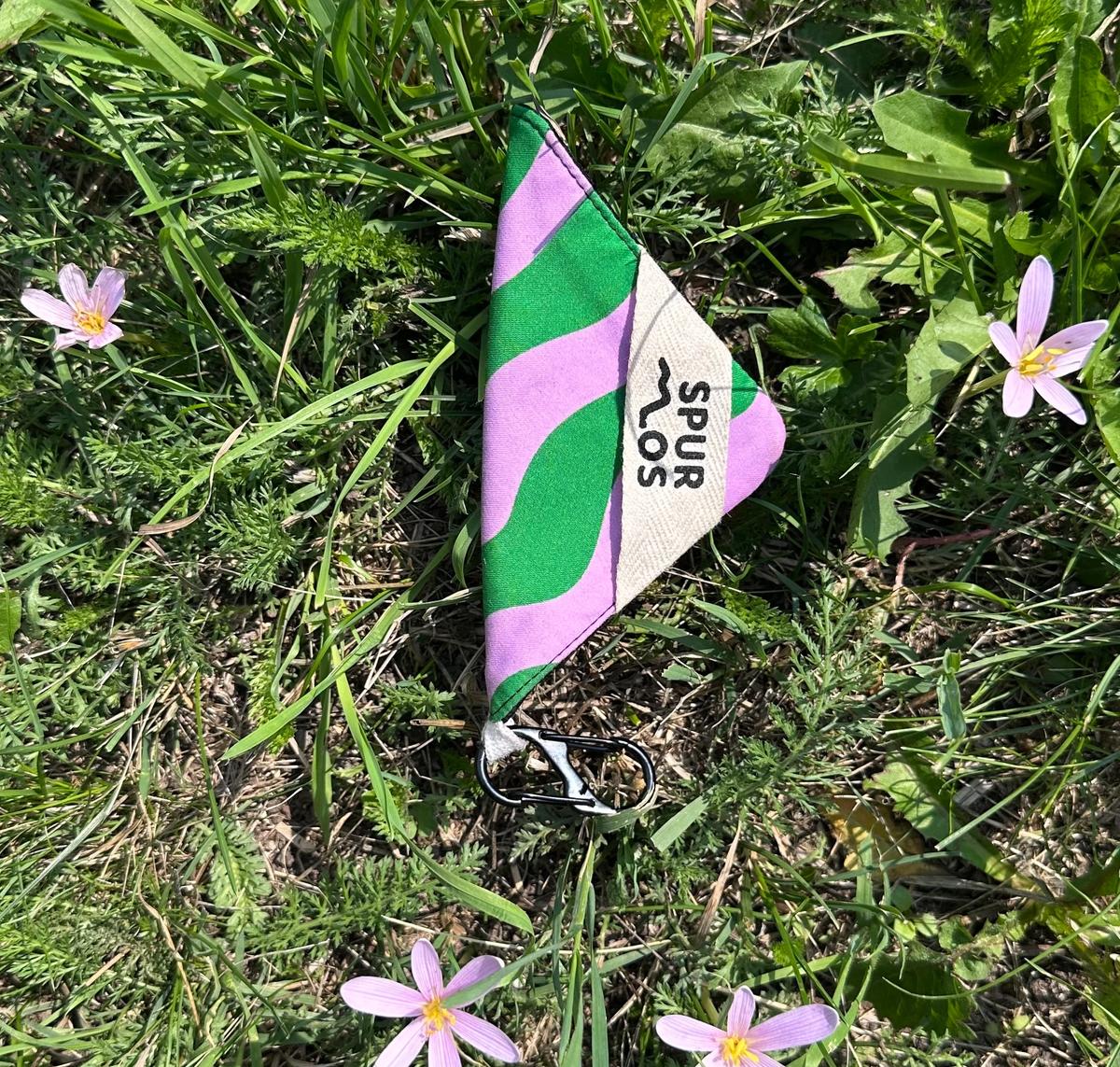 Mini mit Blumen
