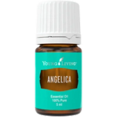 Angelica oil bottle