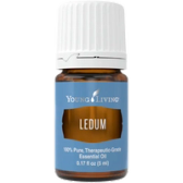 Ledum oil bottle