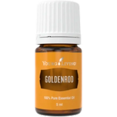 Goldenrod oil bottle