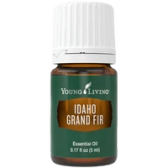 Grand Fir oil bottle