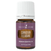 Canadian Fleabane oil bottle