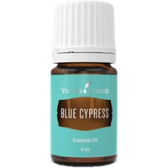 Blue Cypress oil bottle