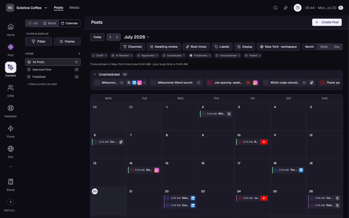 The Posts calendar view with scheduled posts laid out over the month.