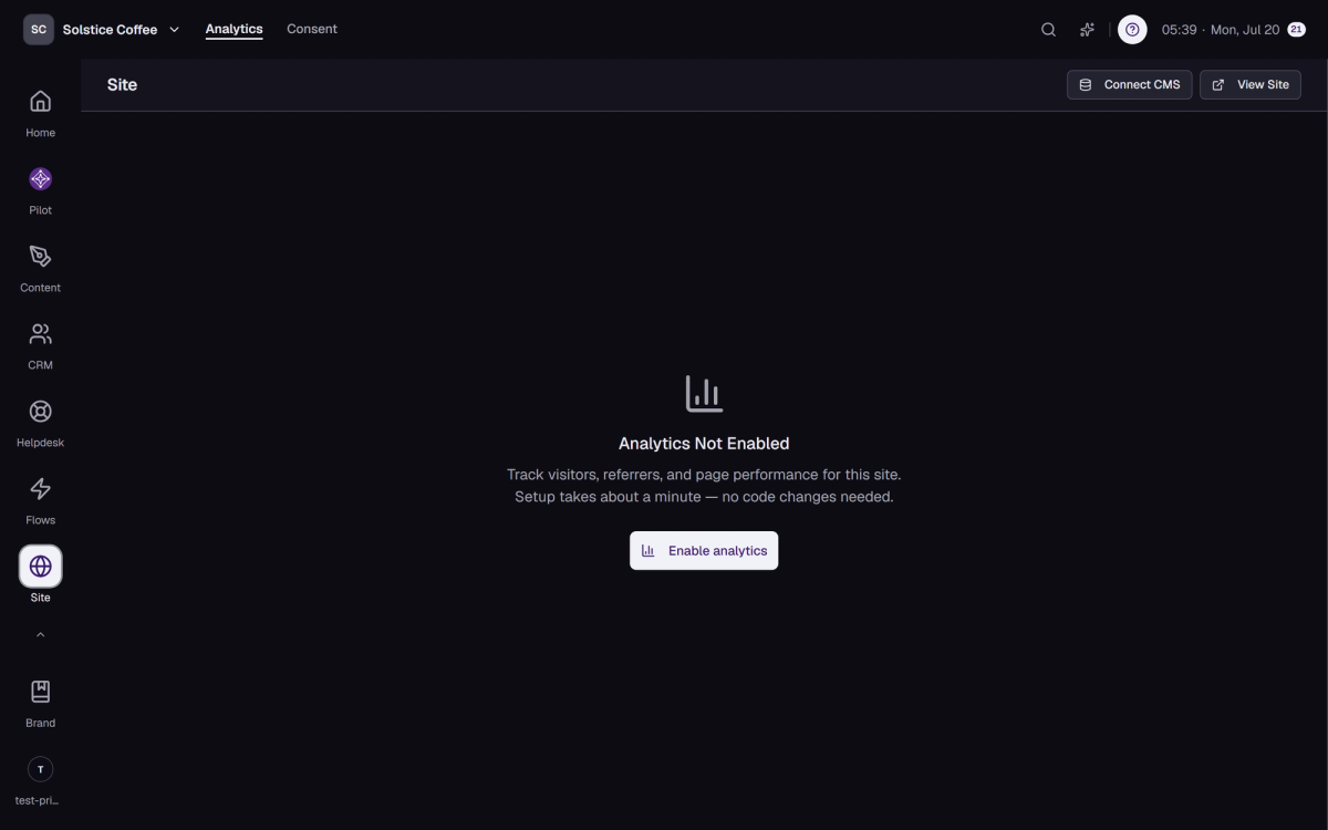 The Site area connecting your website to the workspace.