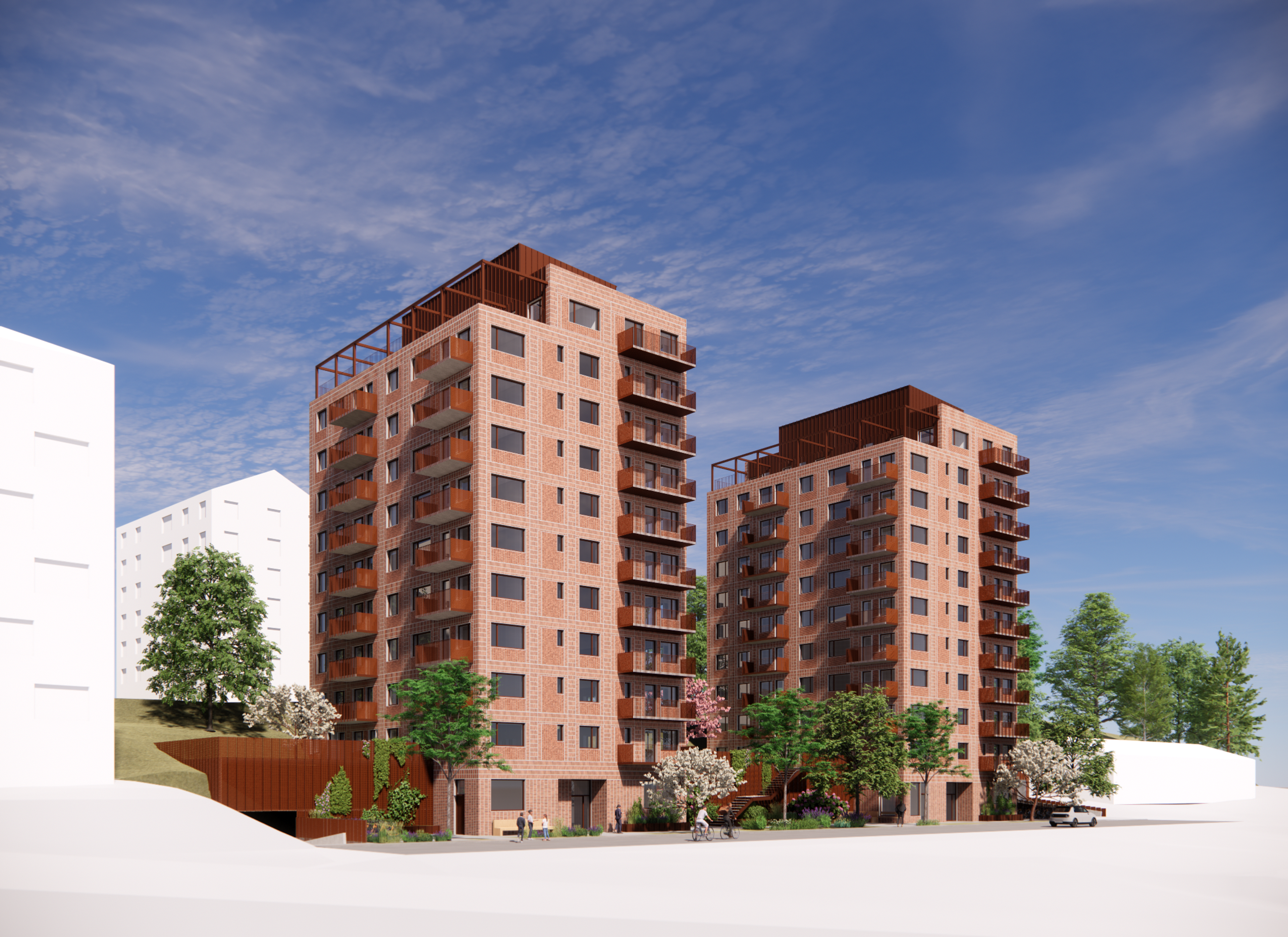 image for project Mjölskivlingen