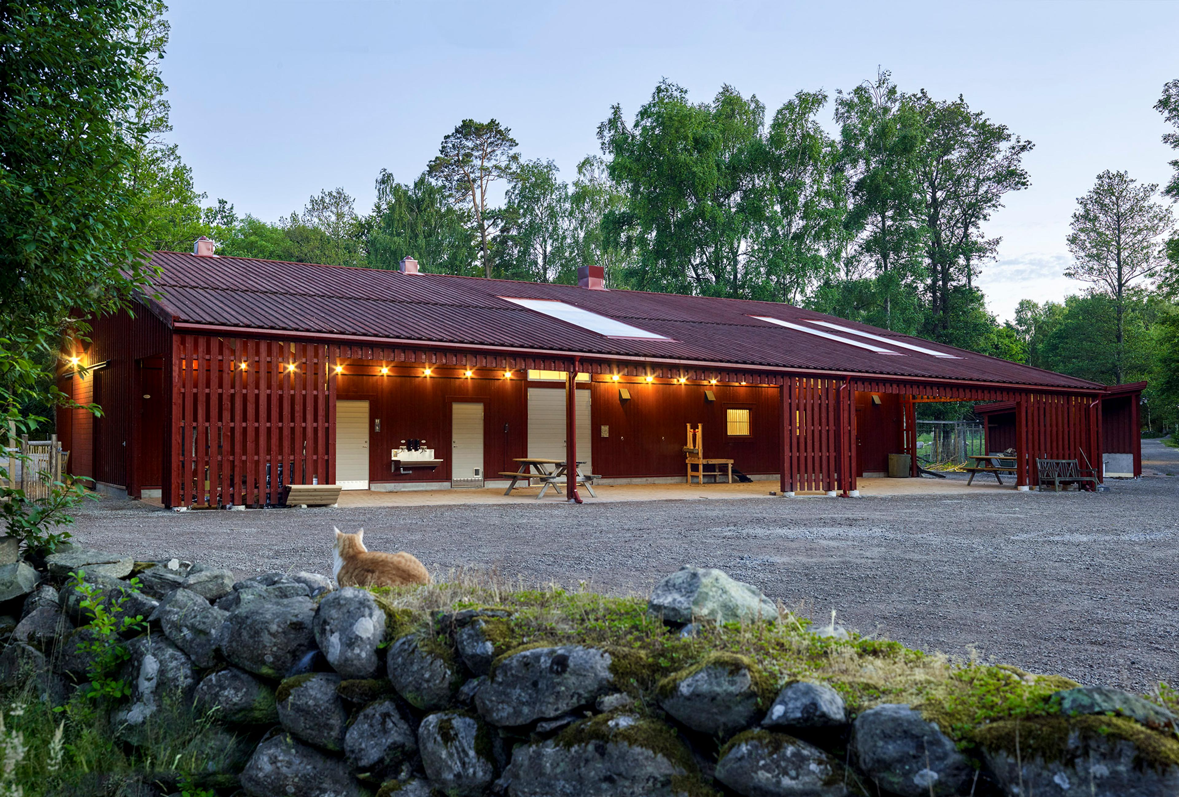 image for project Noas Ark