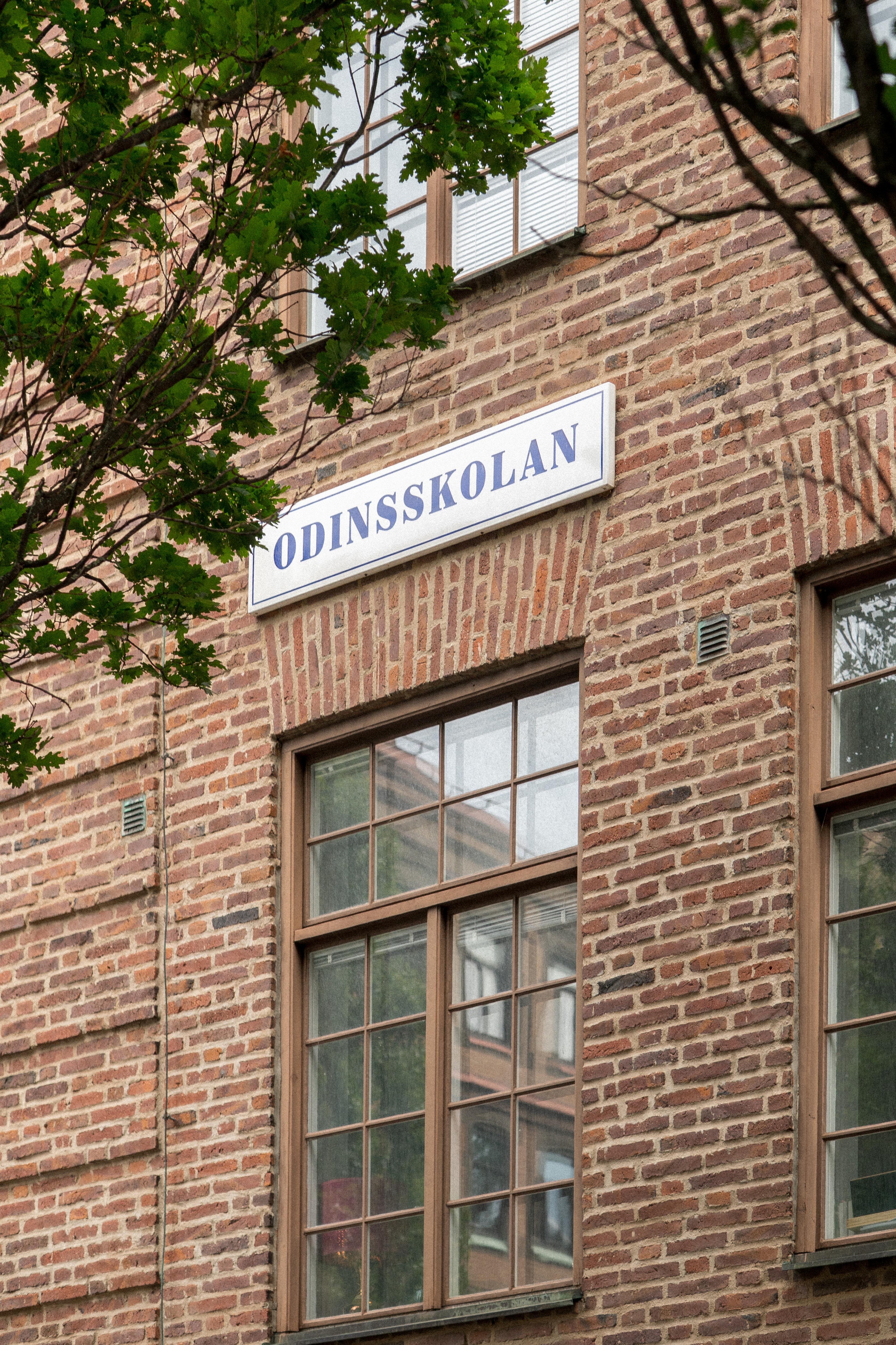 image for project Odinsskolan