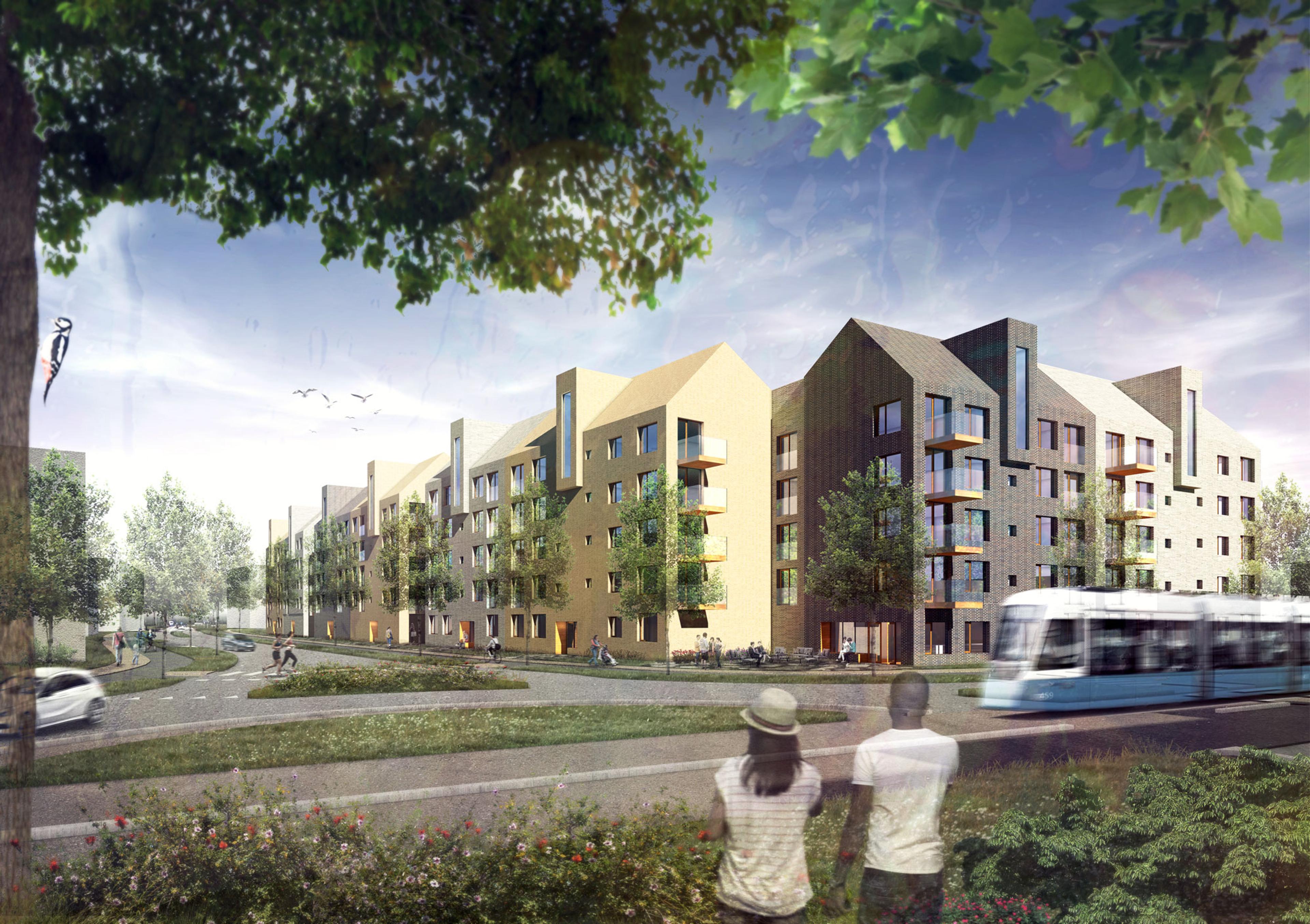 image for project Selma