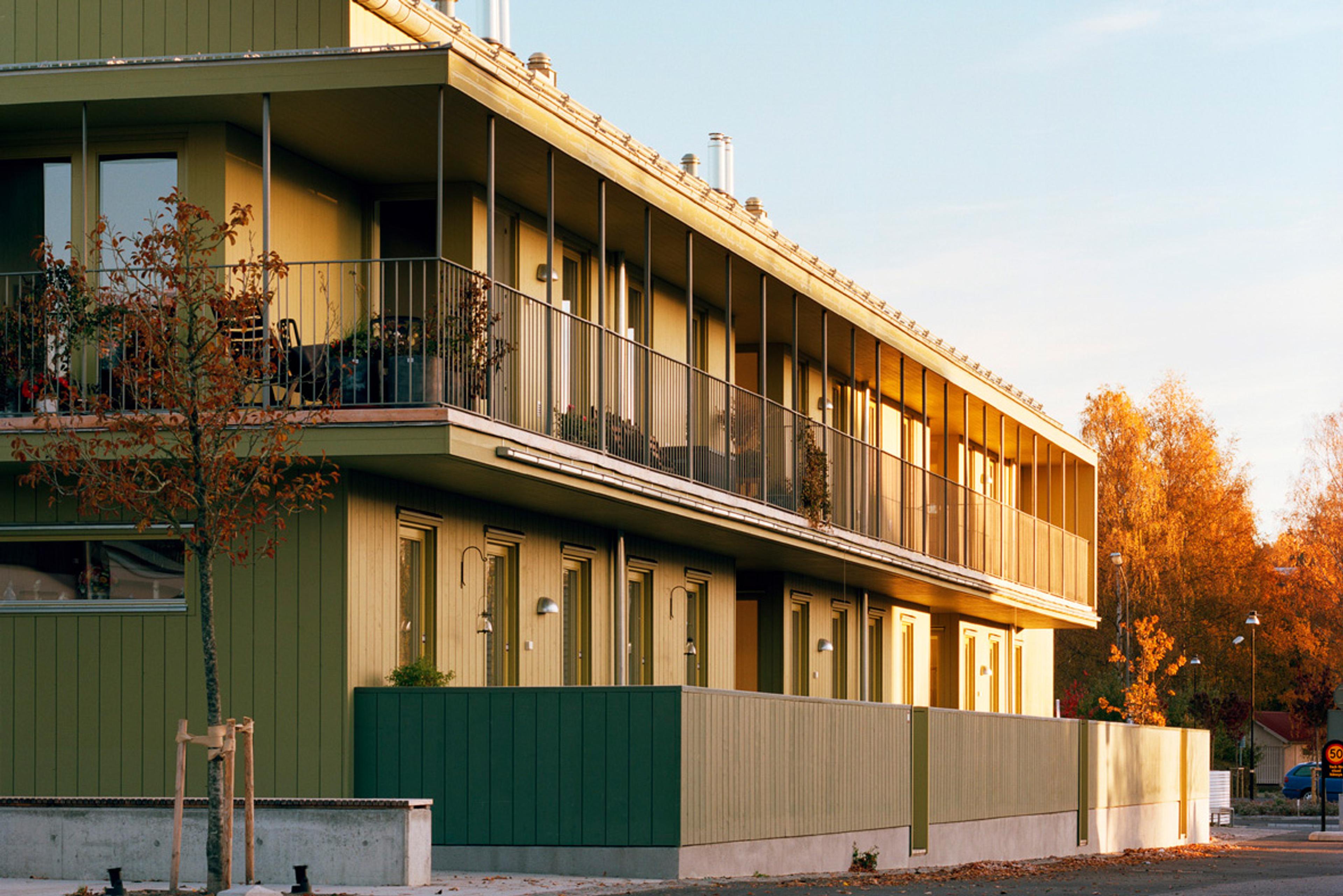 image for project Fiskpigan