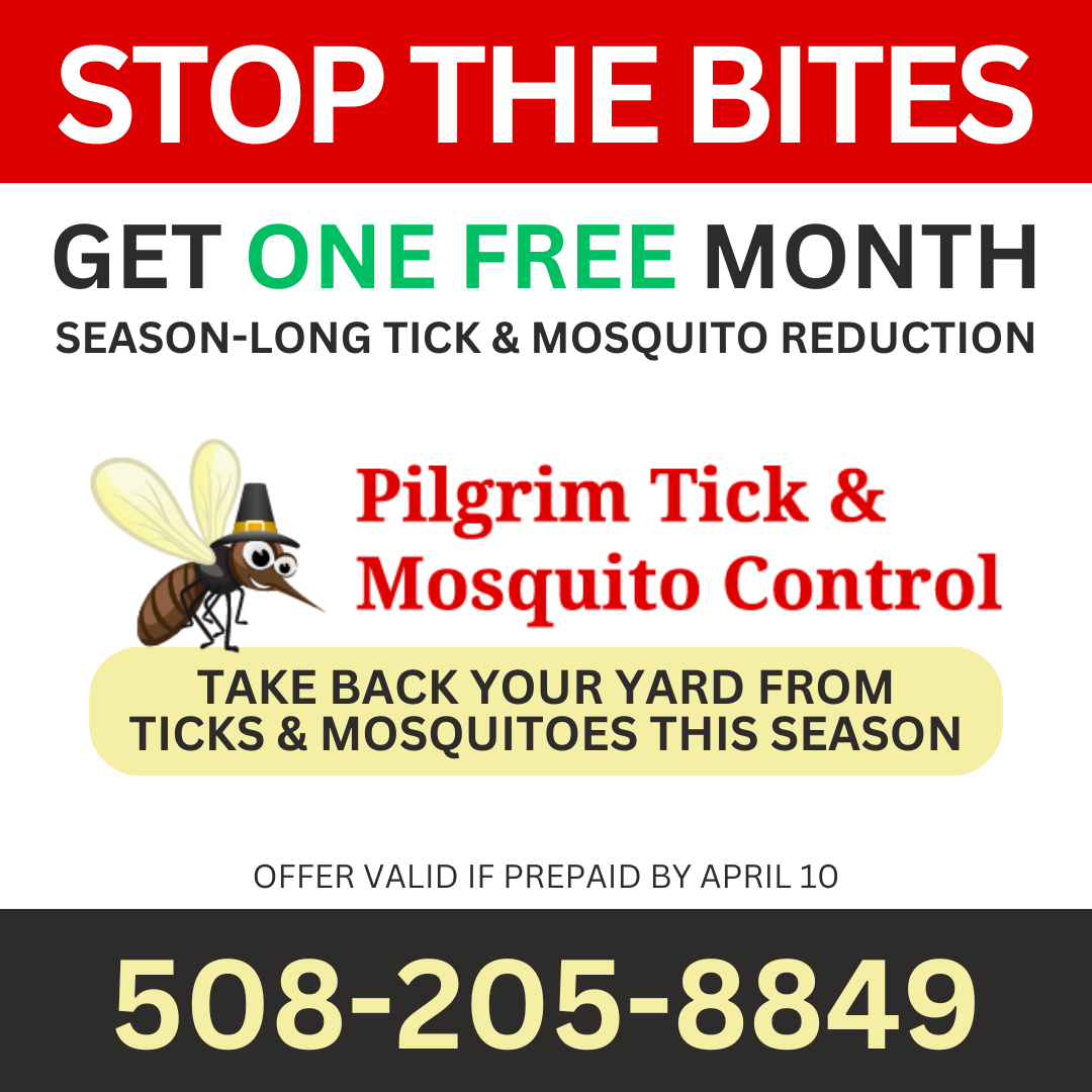 At Pilgrim Tick & Mosquito Control, we're helping you take back your yard this season. Pre-pay by April 10, 2026, and you'll receive one FREE month of mosquito and tick protection.