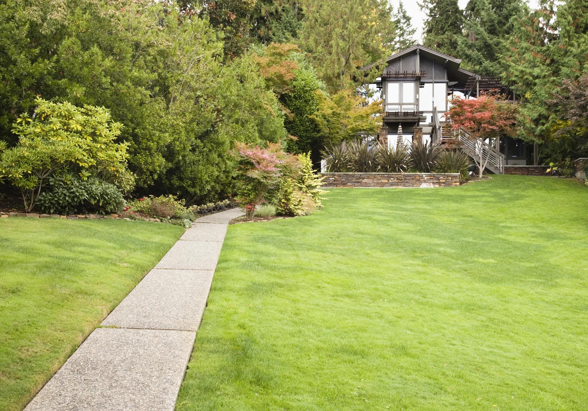 Minnesota lawn care website developer