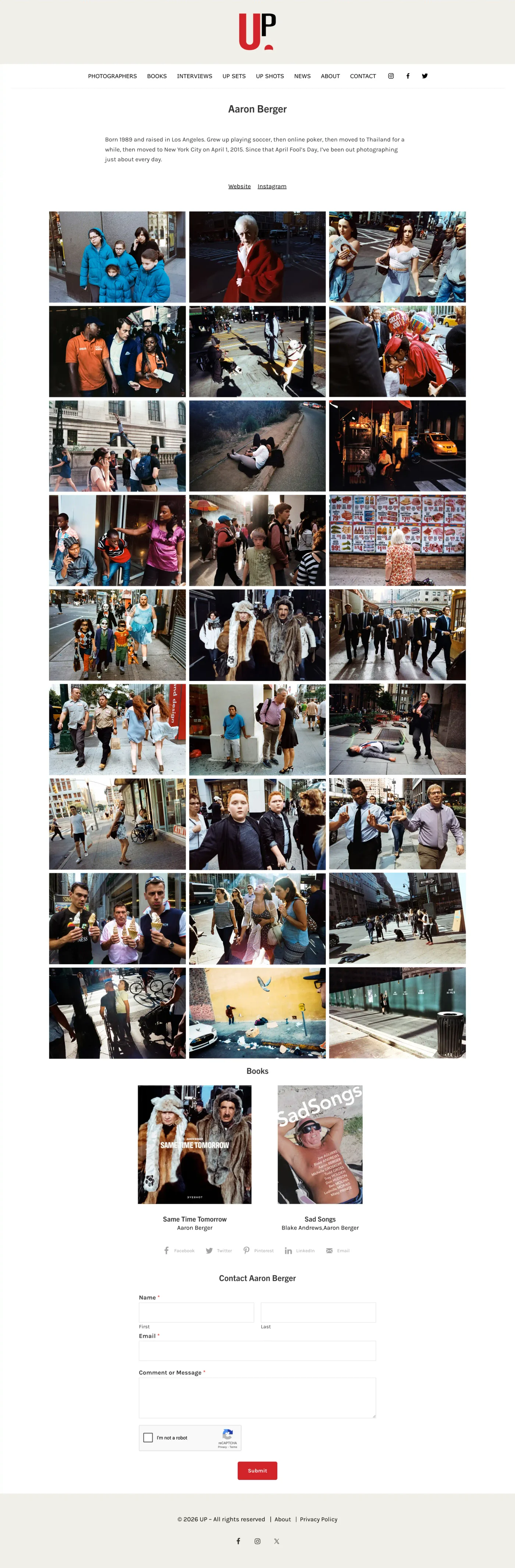 artist website developer