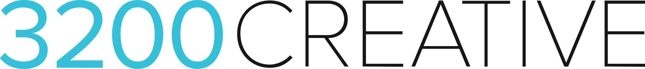 Washington County Minnesota Website Developer