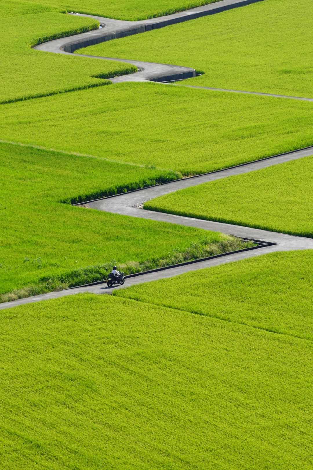 Field Zigzag
