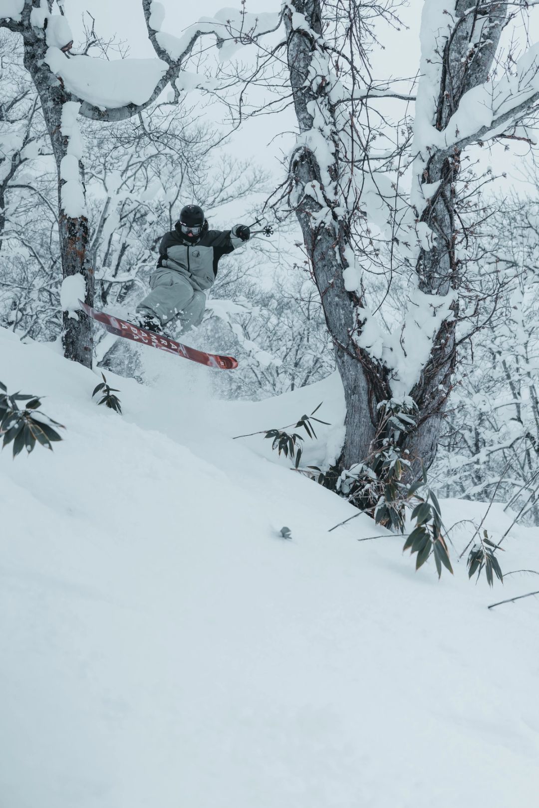 Powder Jump