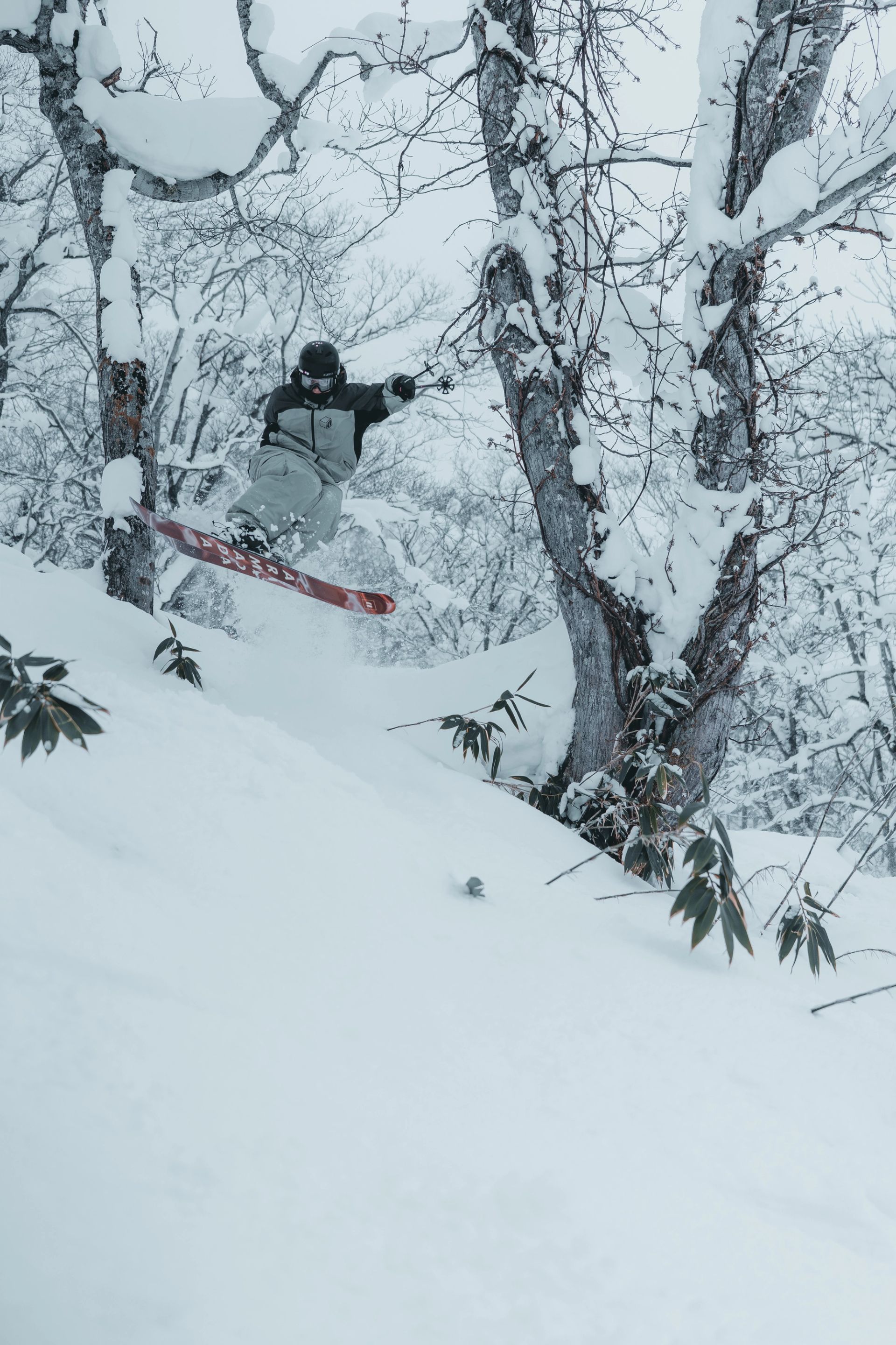 Powder Jump
