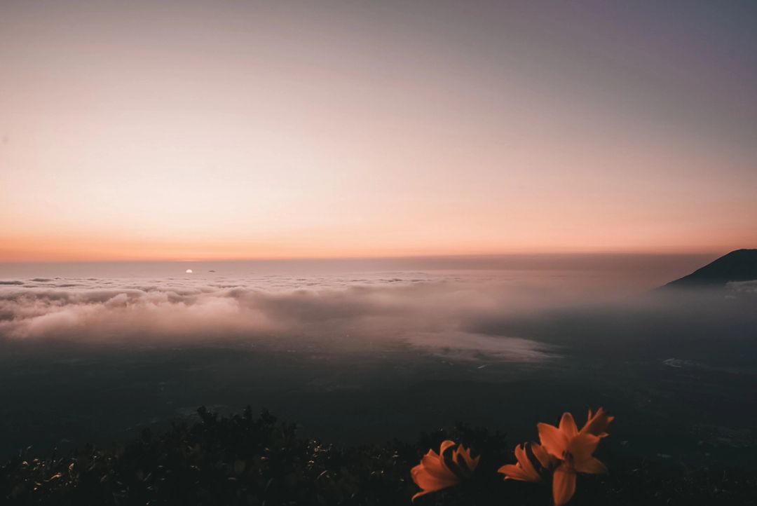 Cloud Sea Dawn