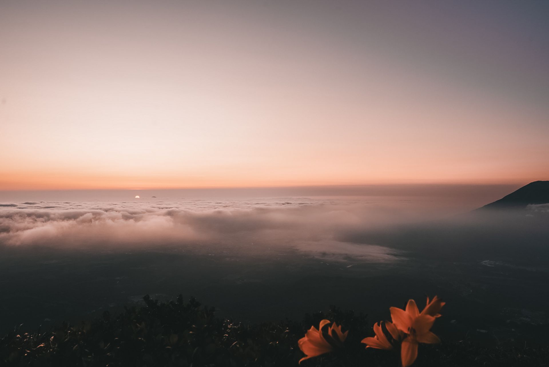 Cloud Sea Dawn
