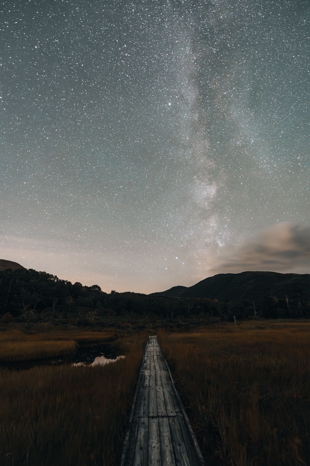 Boardwalk to the Ridge