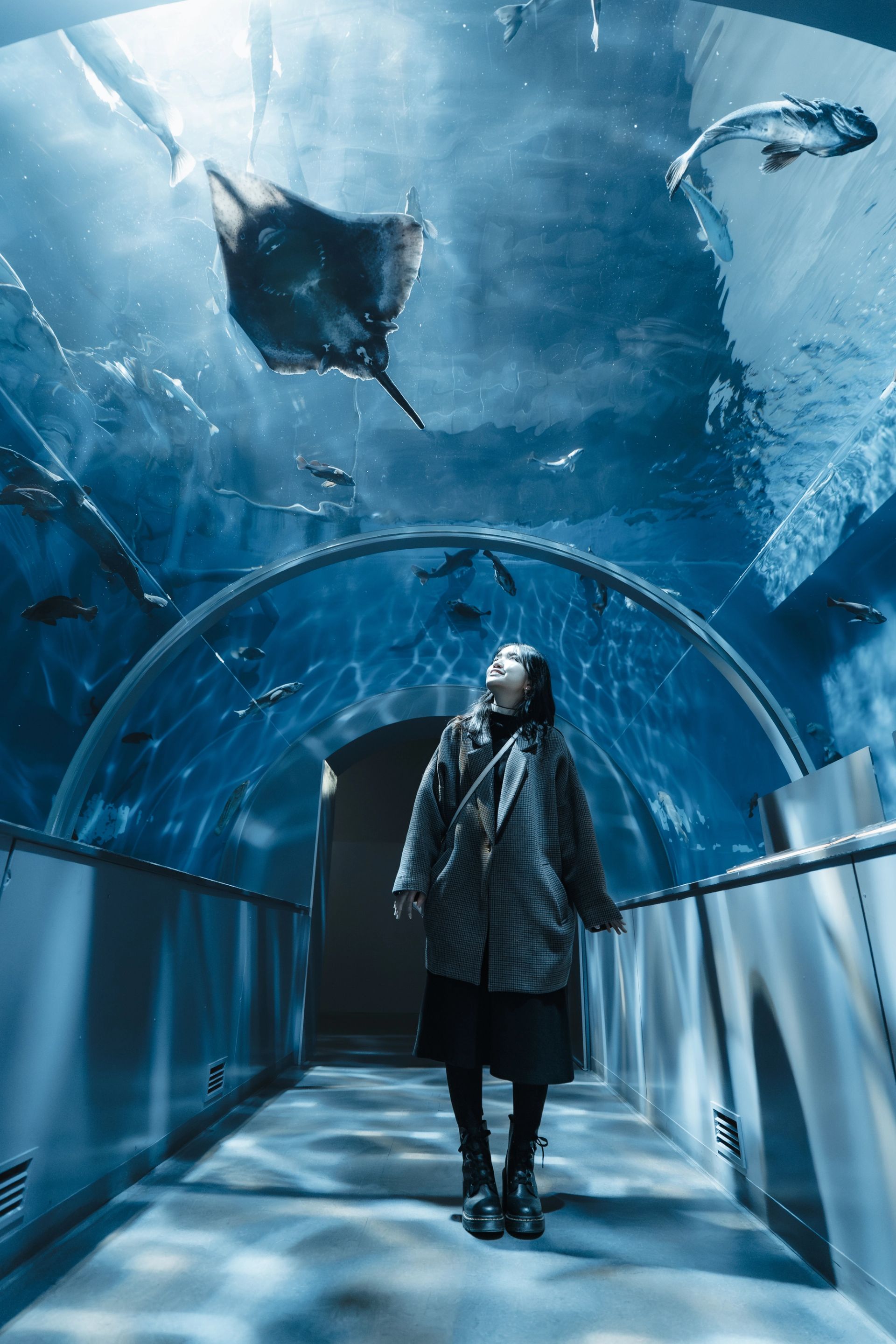 Beneath the Current