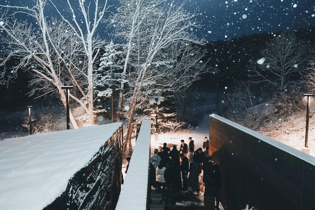 Snowfall Gathering