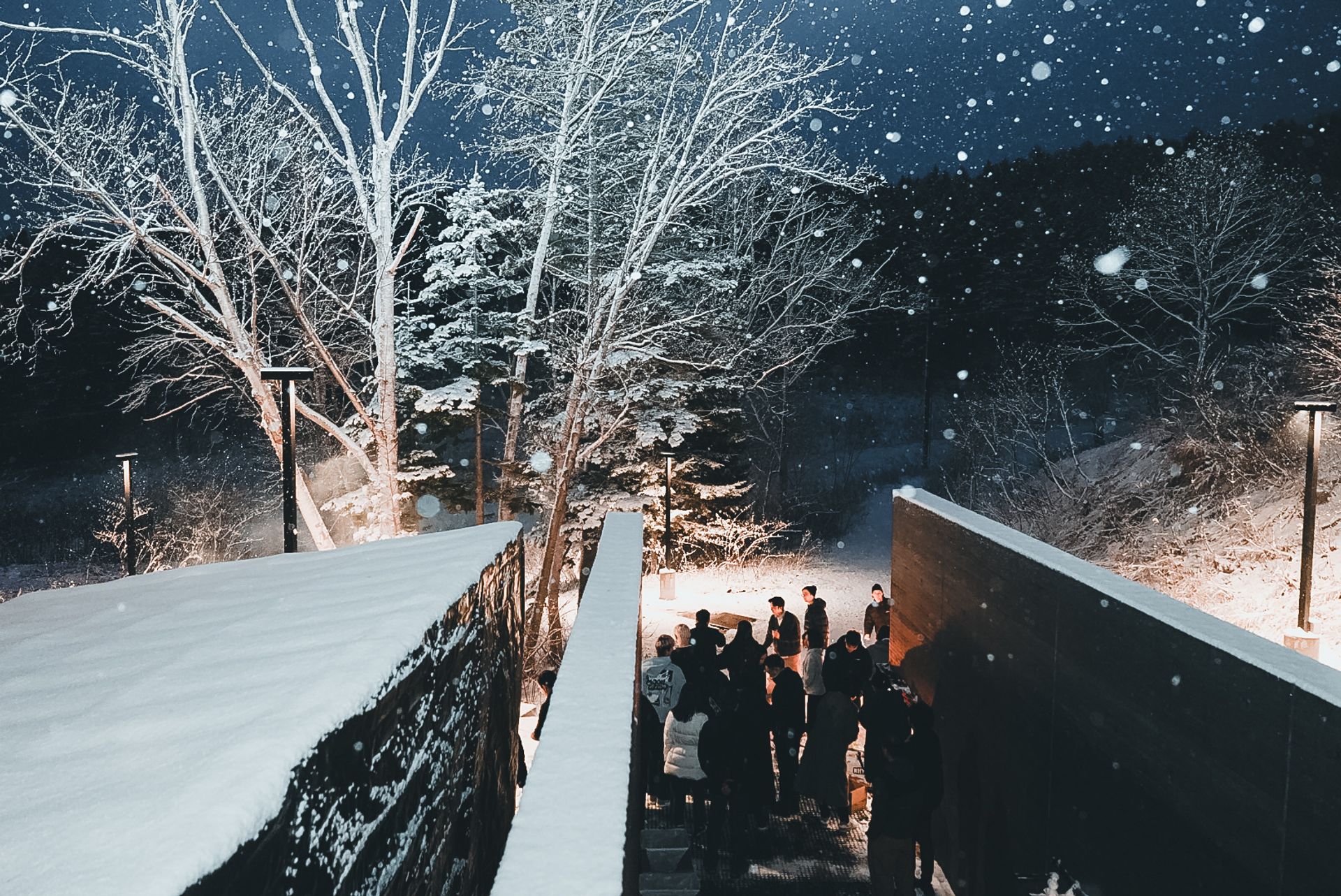 Snowfall Gathering