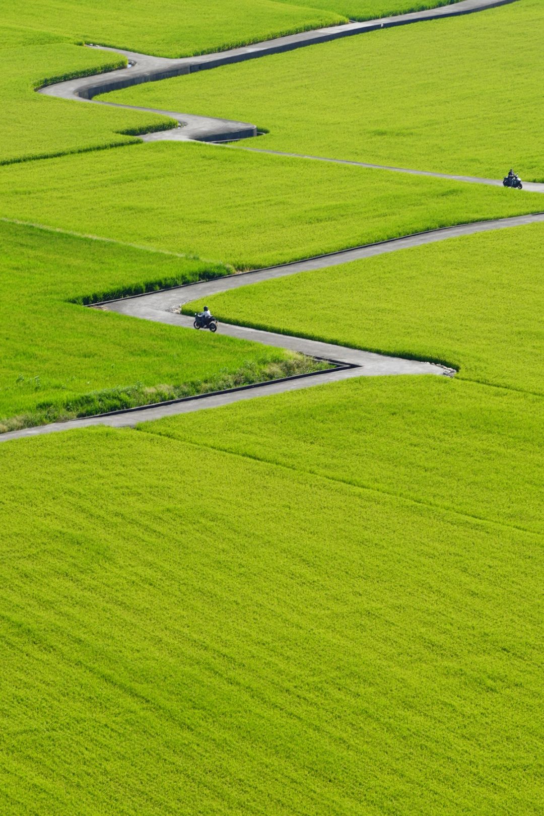 Green Maze