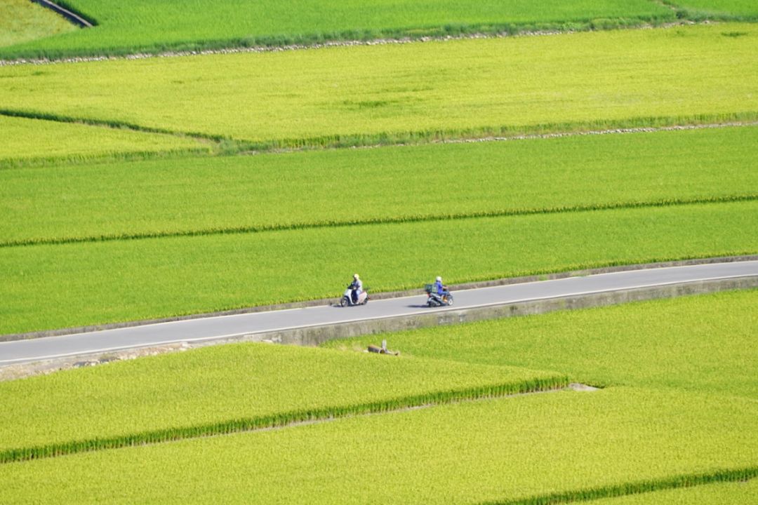 Field Riders
