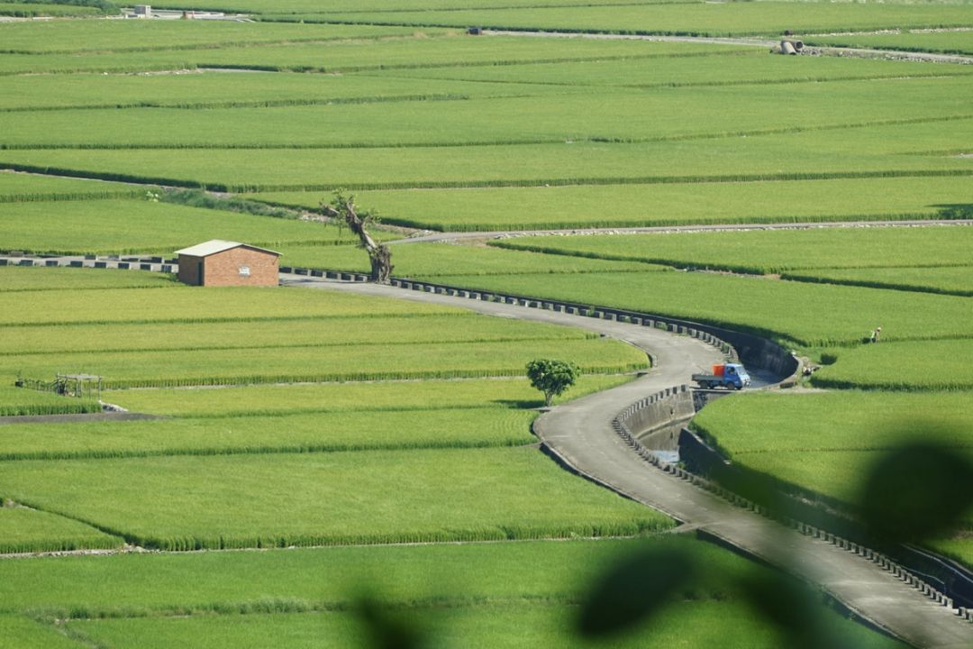 Green Fields Road