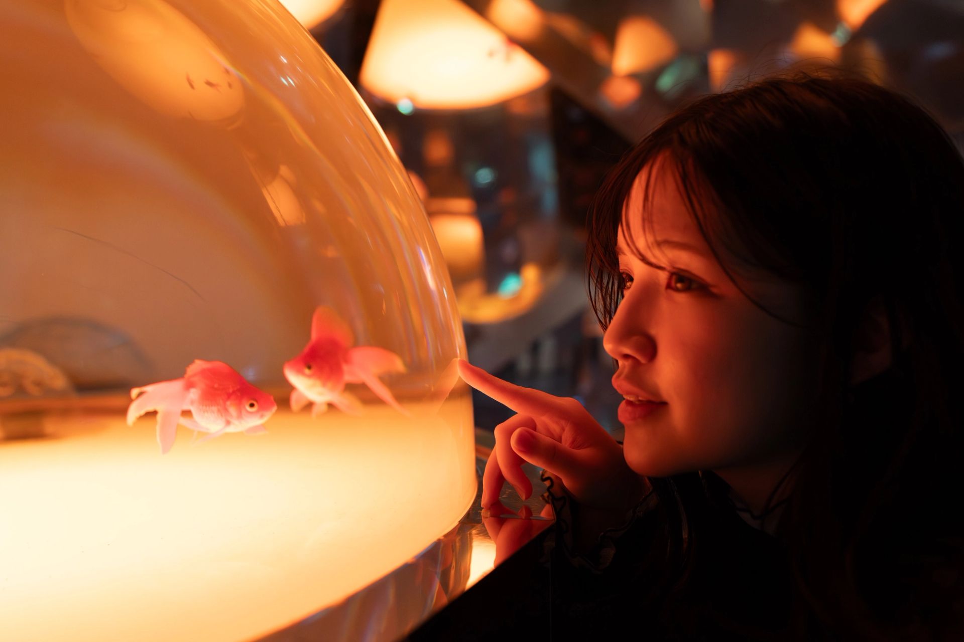 Two Goldfish