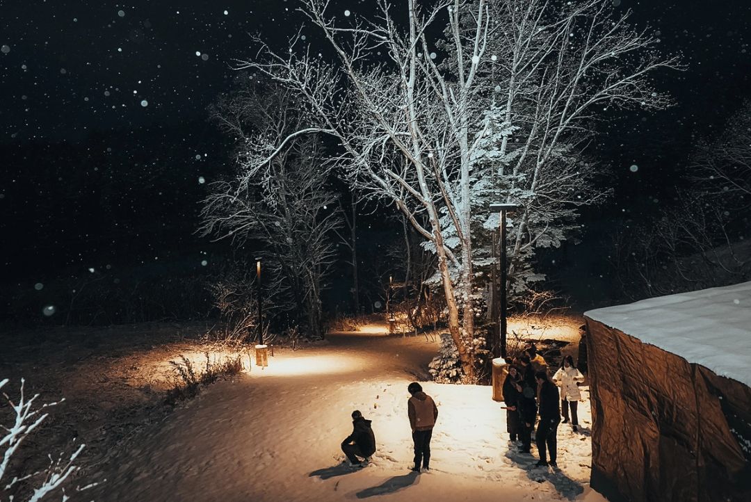 Snowy Clearing