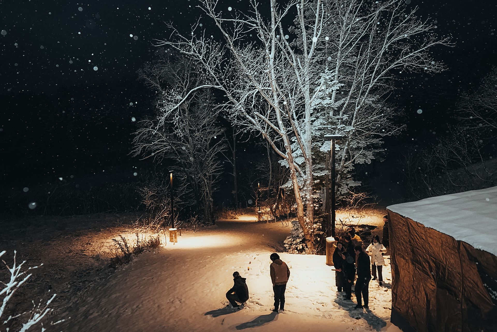 Snowy Clearing