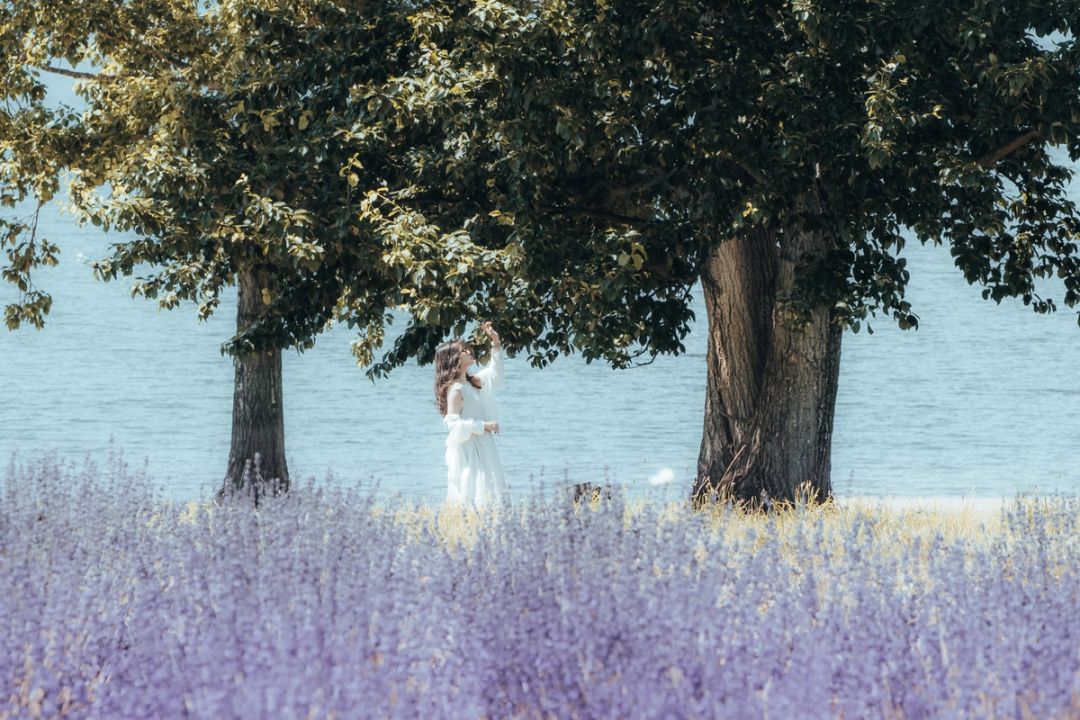 Beneath the Trees